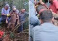 Suspeito é atacado por quatro pitbulls ao tentar invadir chácara em Franca, SP