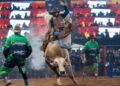 Festa do Peão de Americana terá transmissão do Brasil na Copa em telão na arena; veja programação
